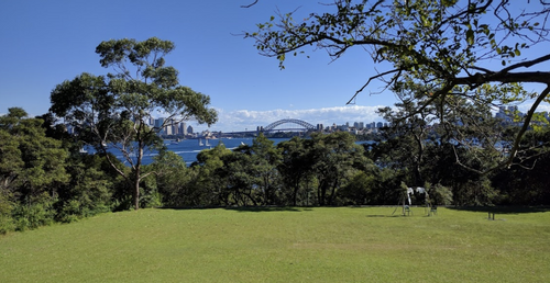 view