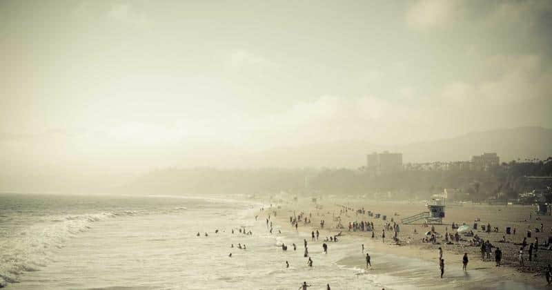 Casual Employment Rights in Australia: What Casuals Are Entitled To