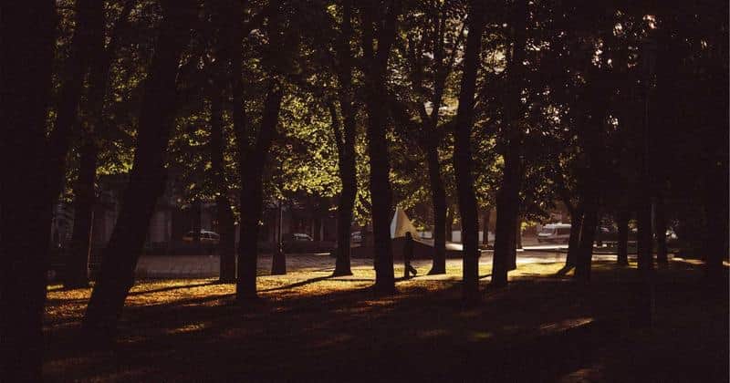 Redundancy in Australia: Your Rights and Entitlements