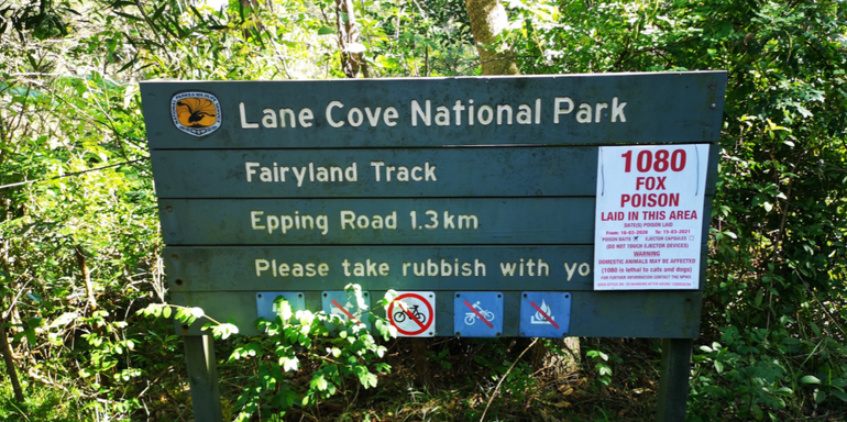 悉尼亲子远足路线3 - Fairyland Track Loop - Lane Cove National Park