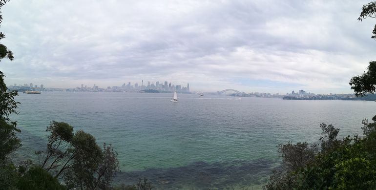 Sydney Family Day Out: Taronga Zoo