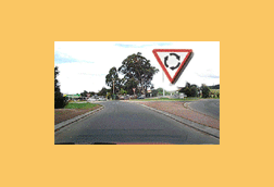 You are driving towards a roundabout and you see this sign.You must -