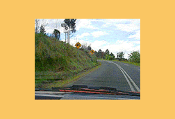 When the road is marked this way are you permitted to cross the lines and overtake?