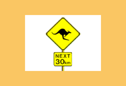 What does this sign mean?