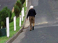 当你看到老年人在道路上或道路附近时，你应该 -